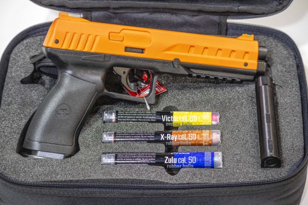 Muestra-pistola-Chiaappa-1.jpg
